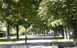 В Рязани сквер на Трудовой благоустроят за 2,5 млн рублей