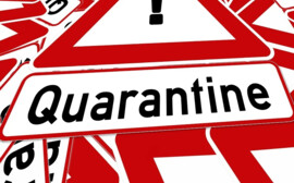 В Рязанской области ограничения работы общепита продлены до 27 декабря