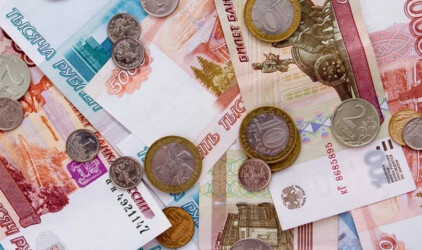 Рязанская область получит более 14 млн рублей на социальную помощь