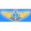 Рязанская автоколонна №1310